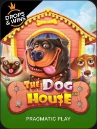 The Dog House